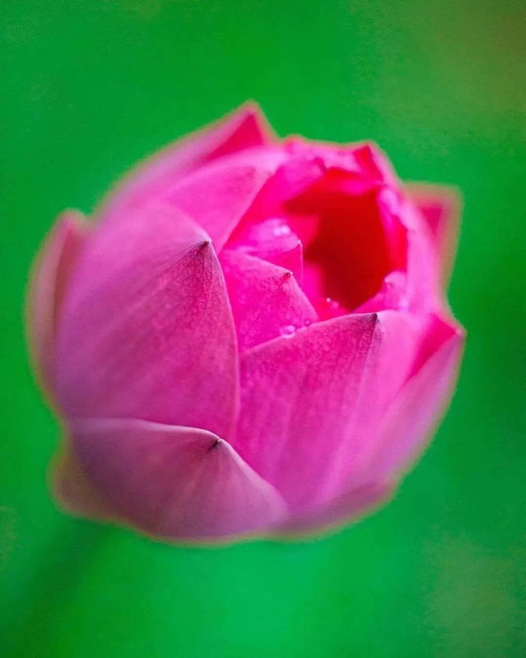 cover_image