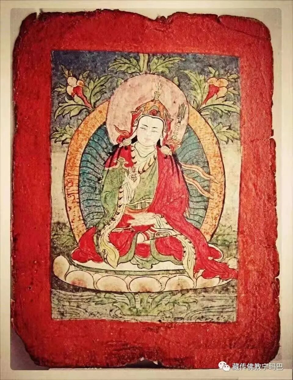 cover_image
