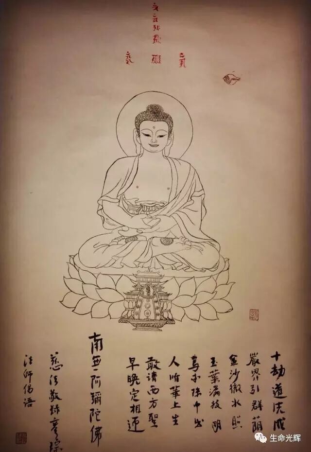 cover_image