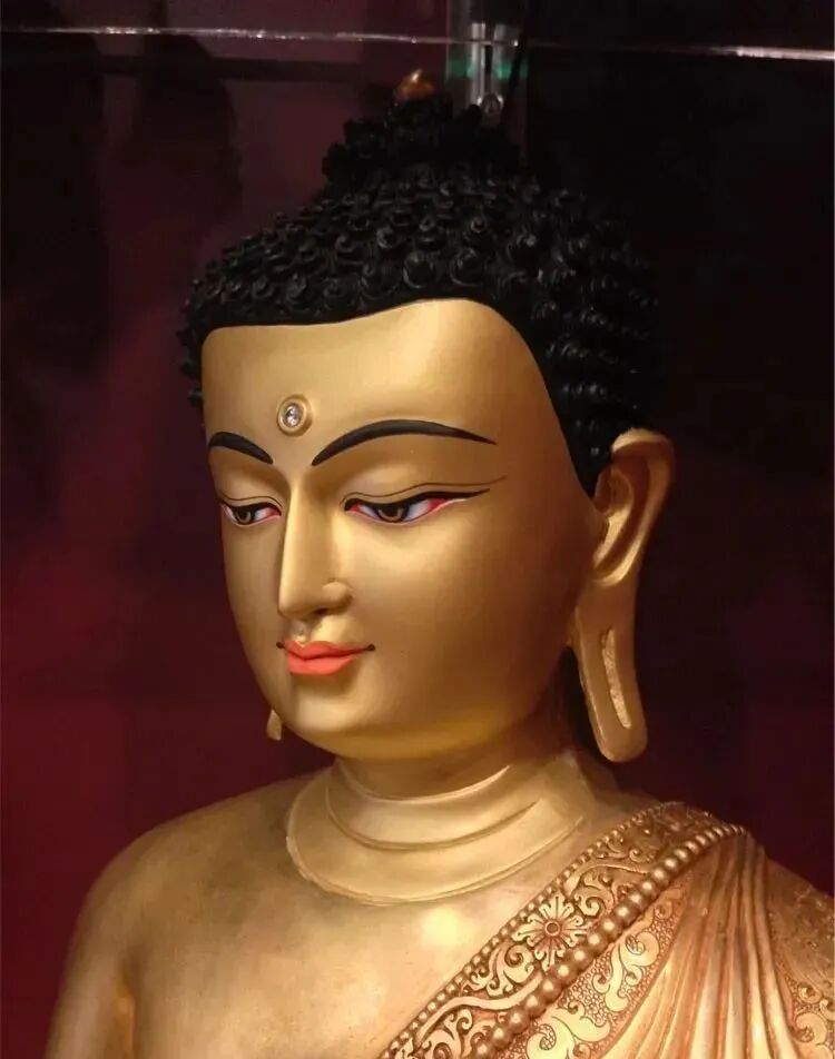 cover_image