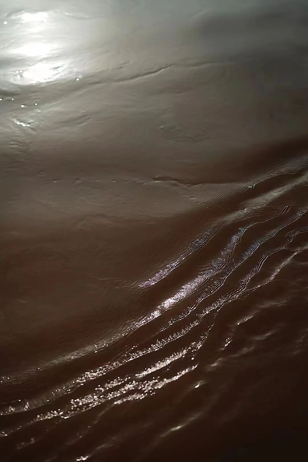 cover_image