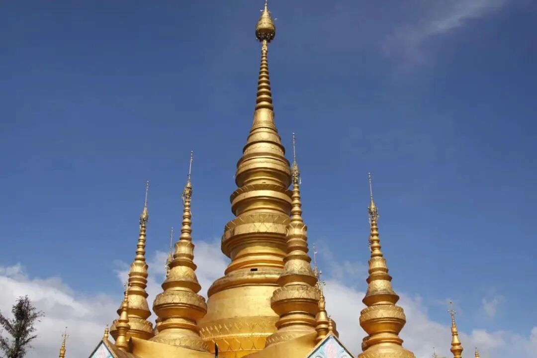 cover_image