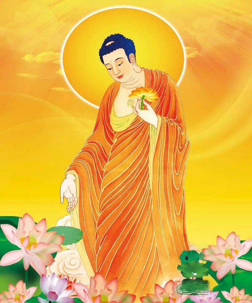 cover_image