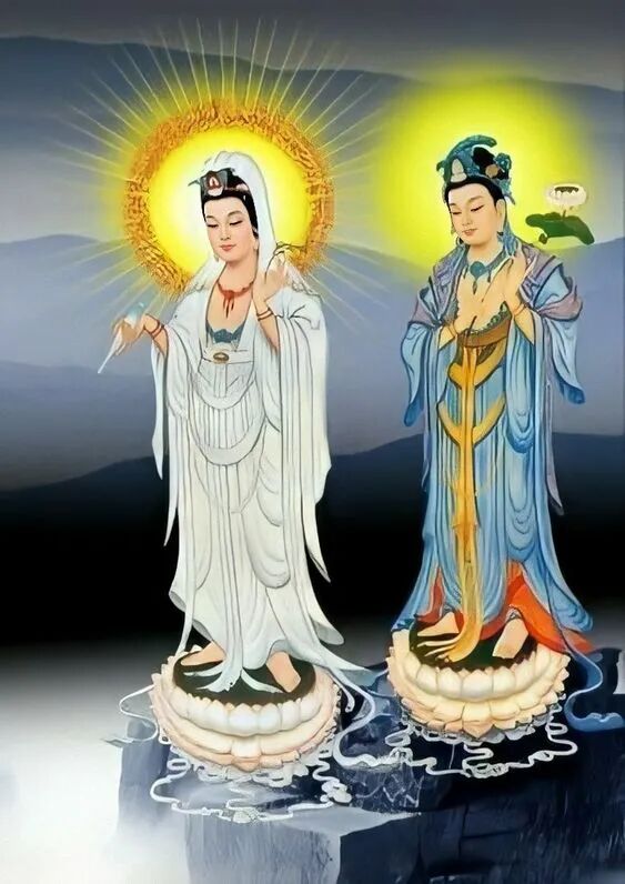 cover_image