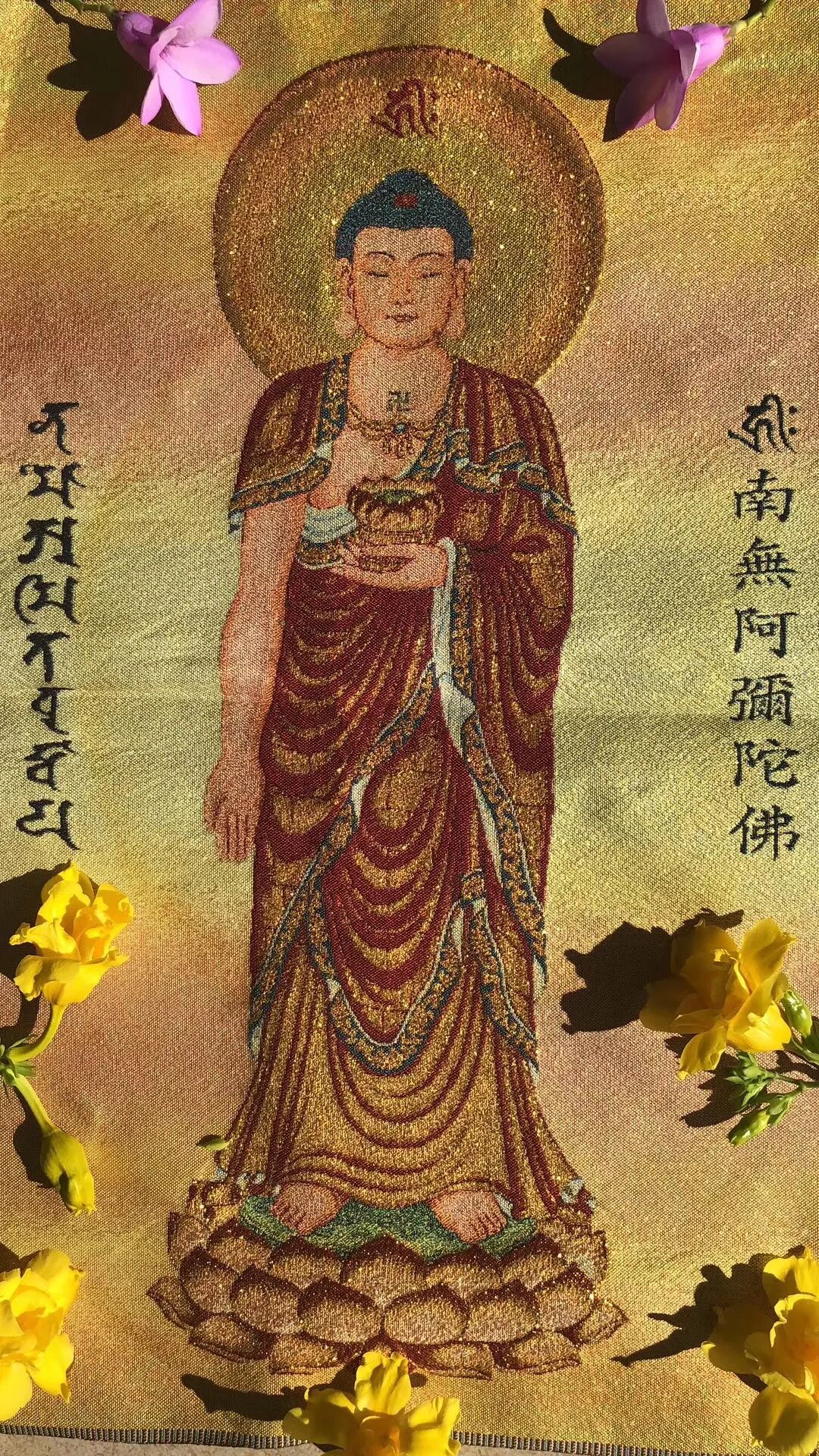 cover_image