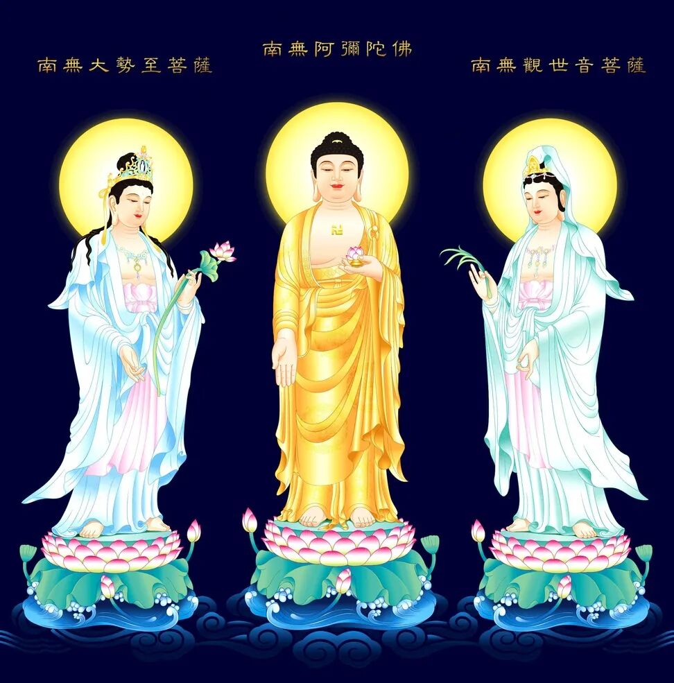 cover_image