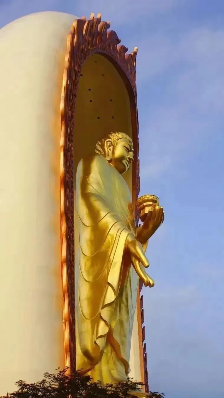 cover_image