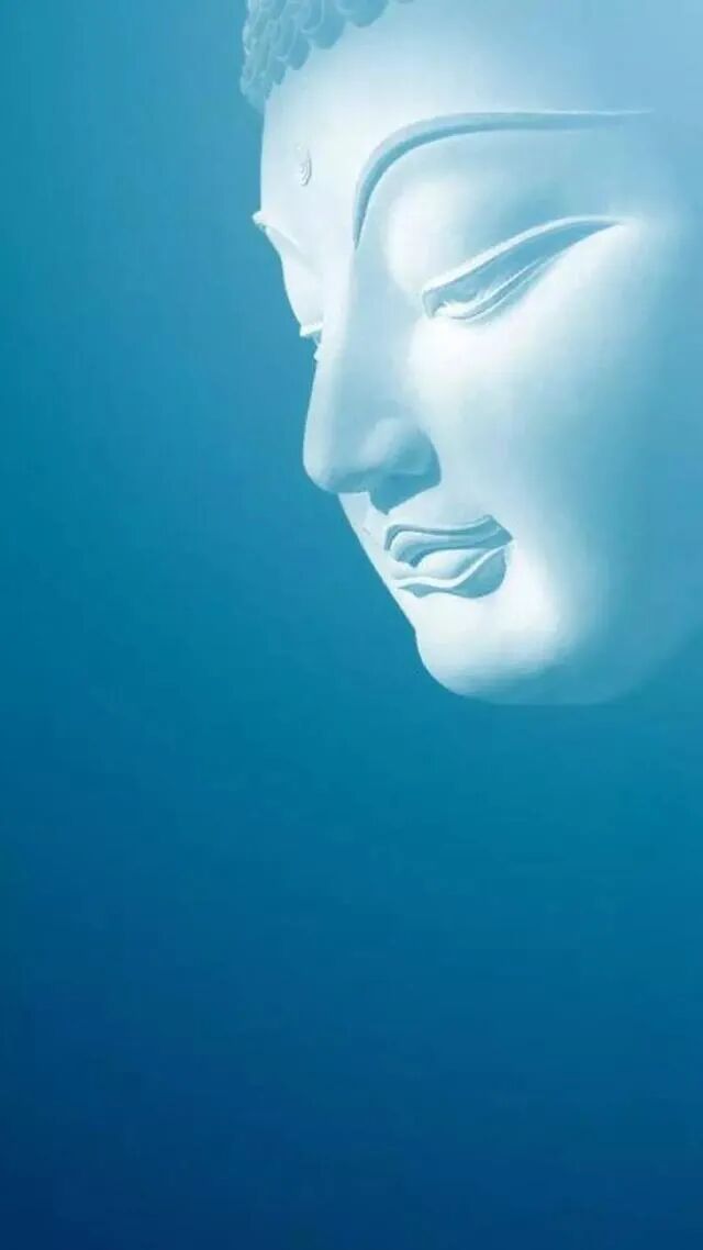 cover_image