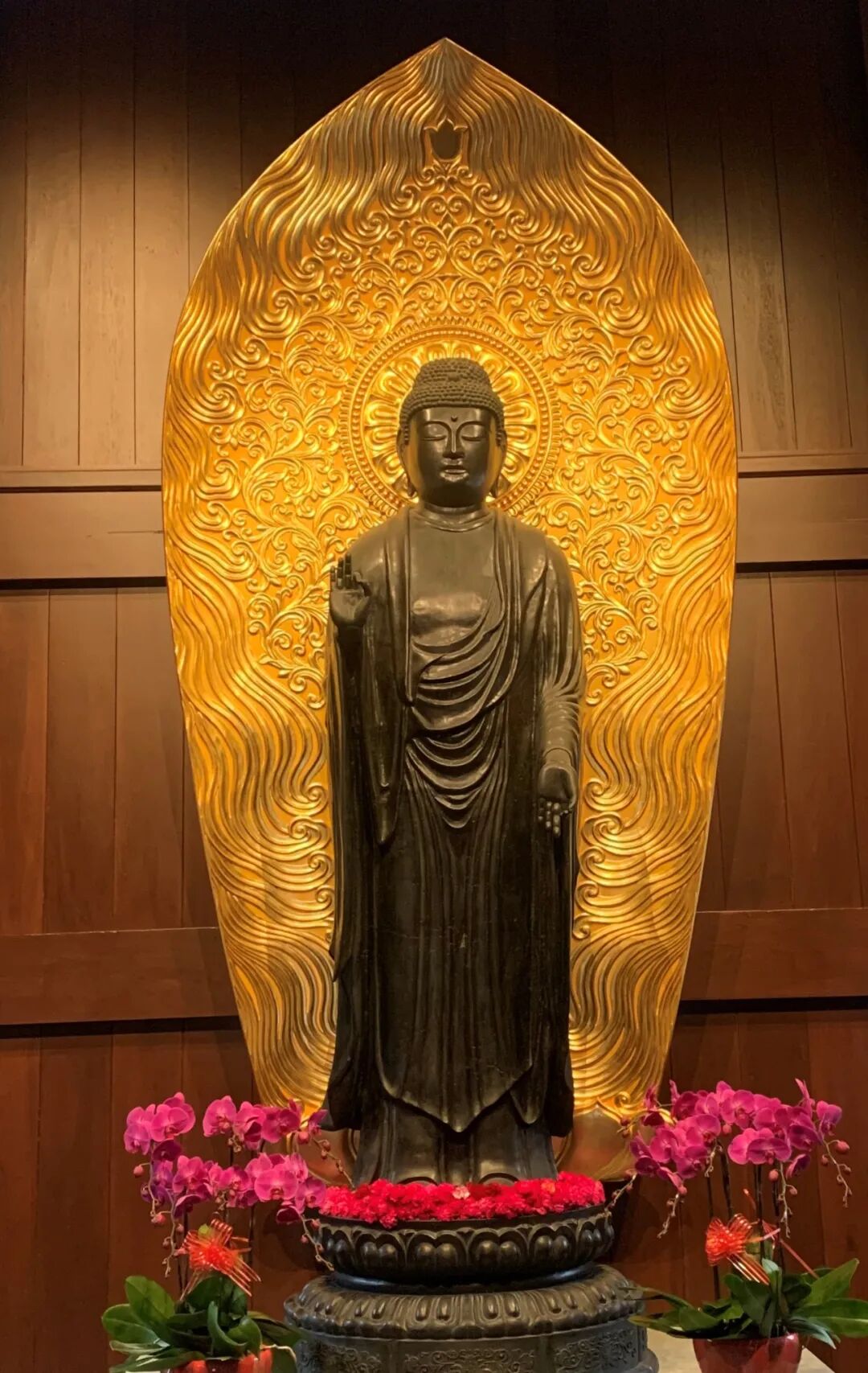 cover_image