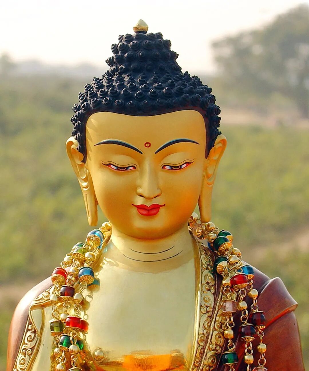 cover_image