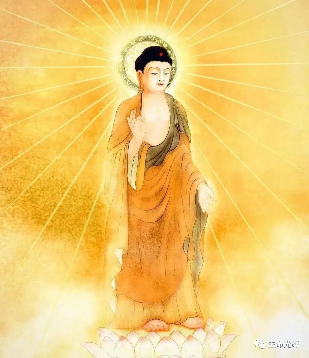 cover_image