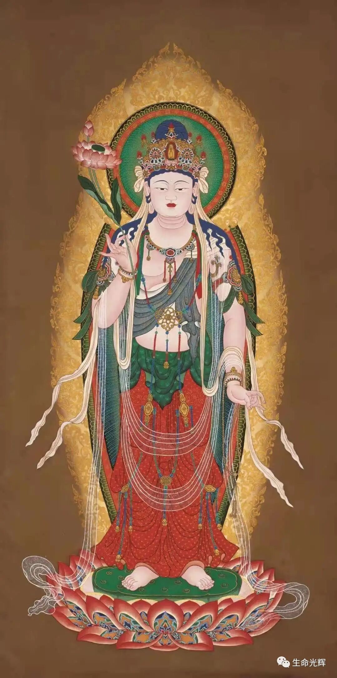 cover_image