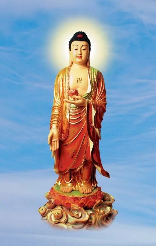 cover_image