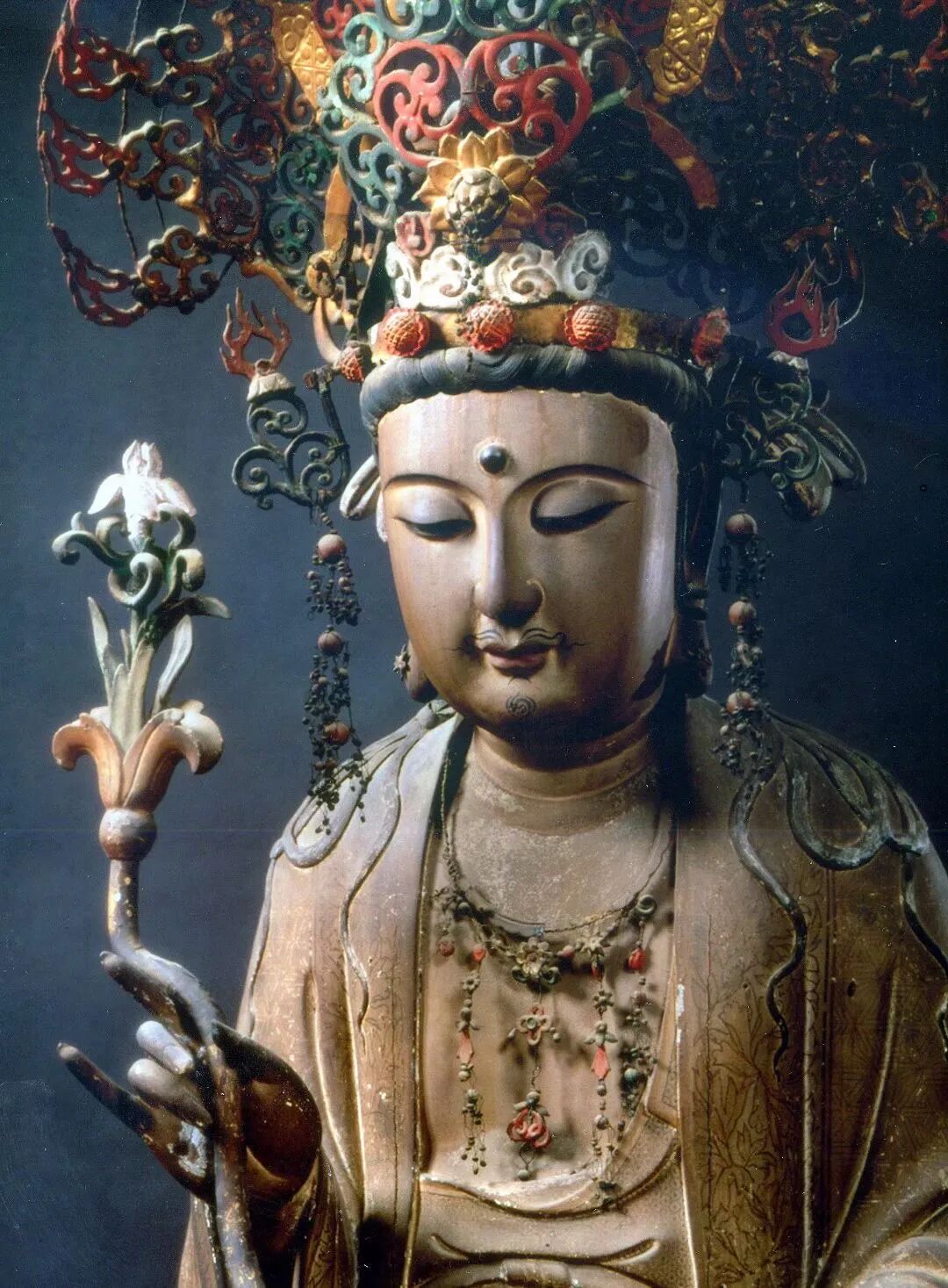 cover_image