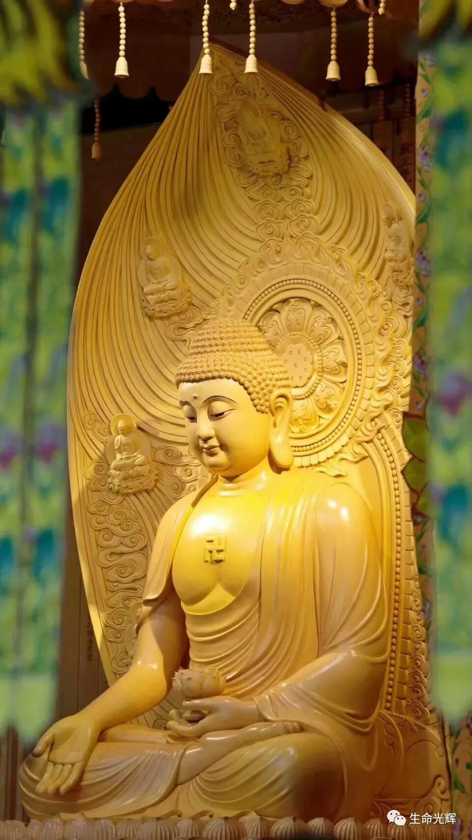 cover_image