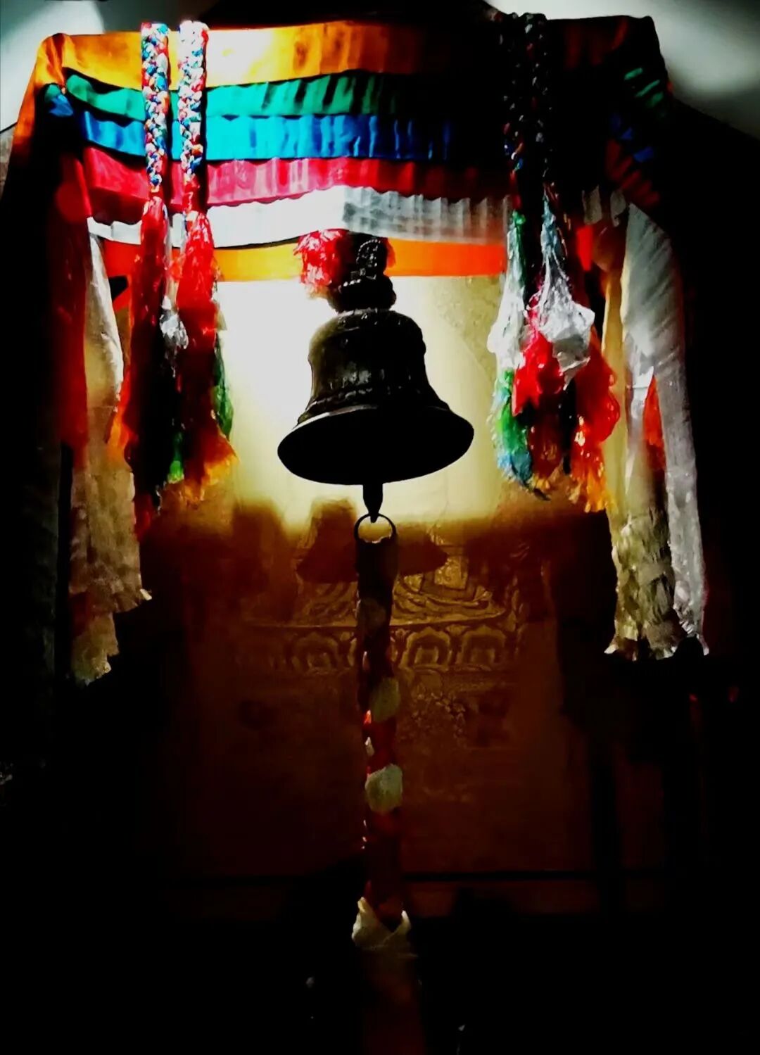 cover_image