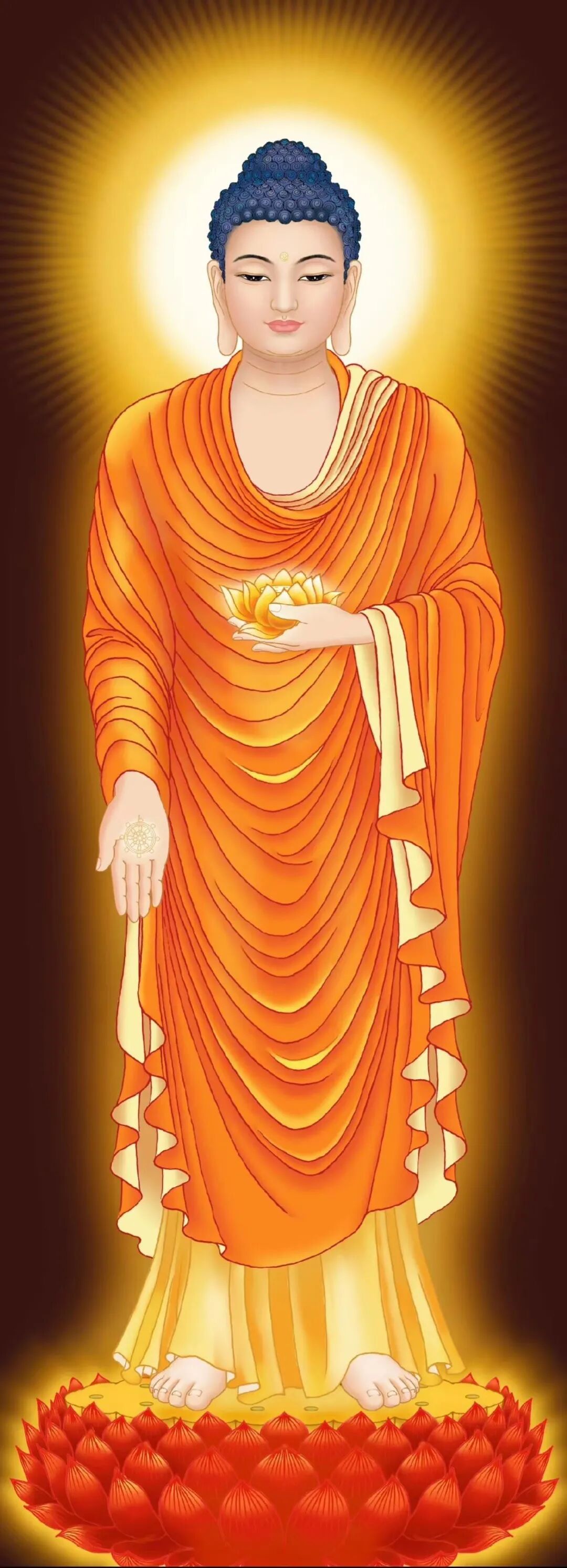cover_image