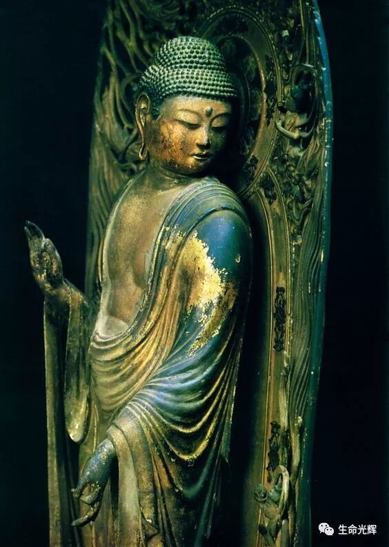 cover_image