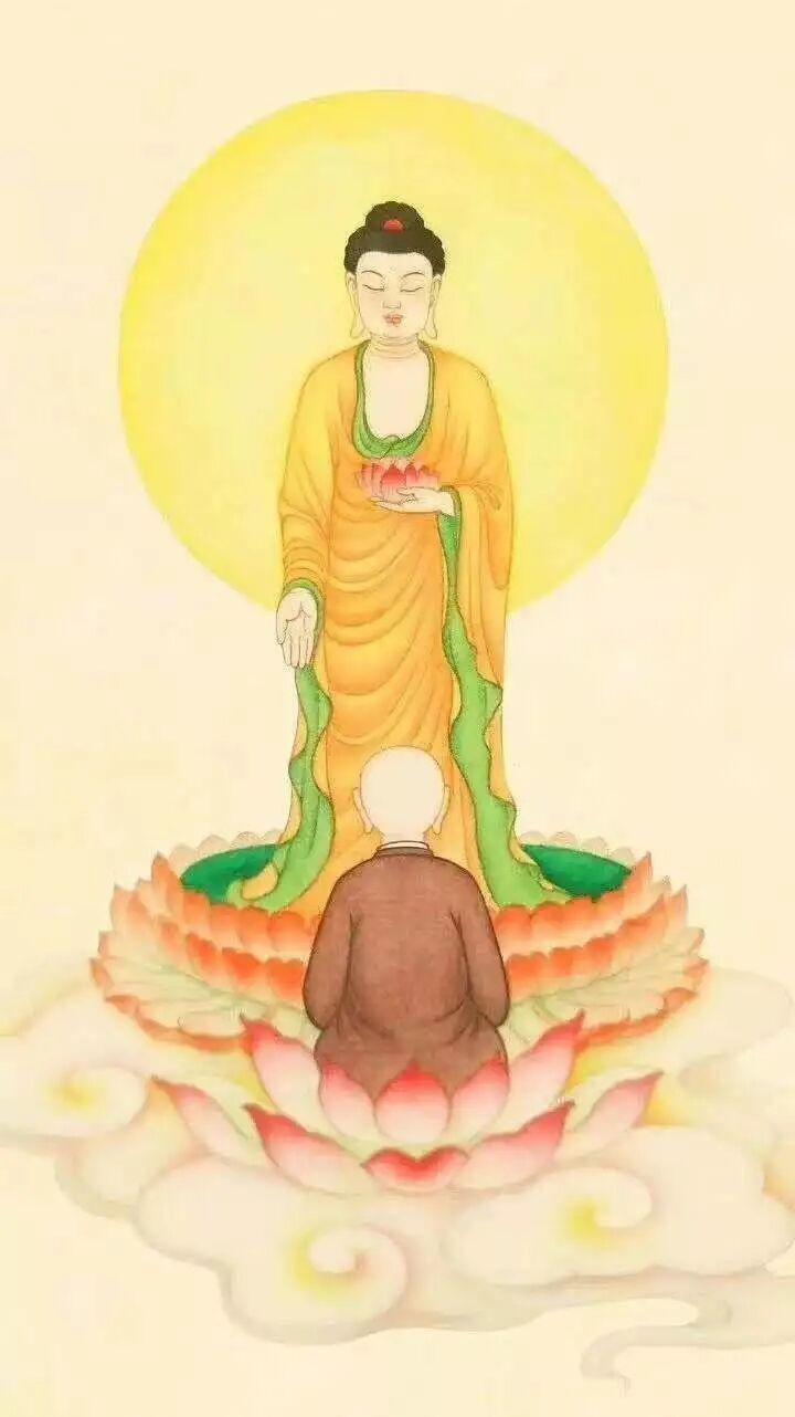 cover_image