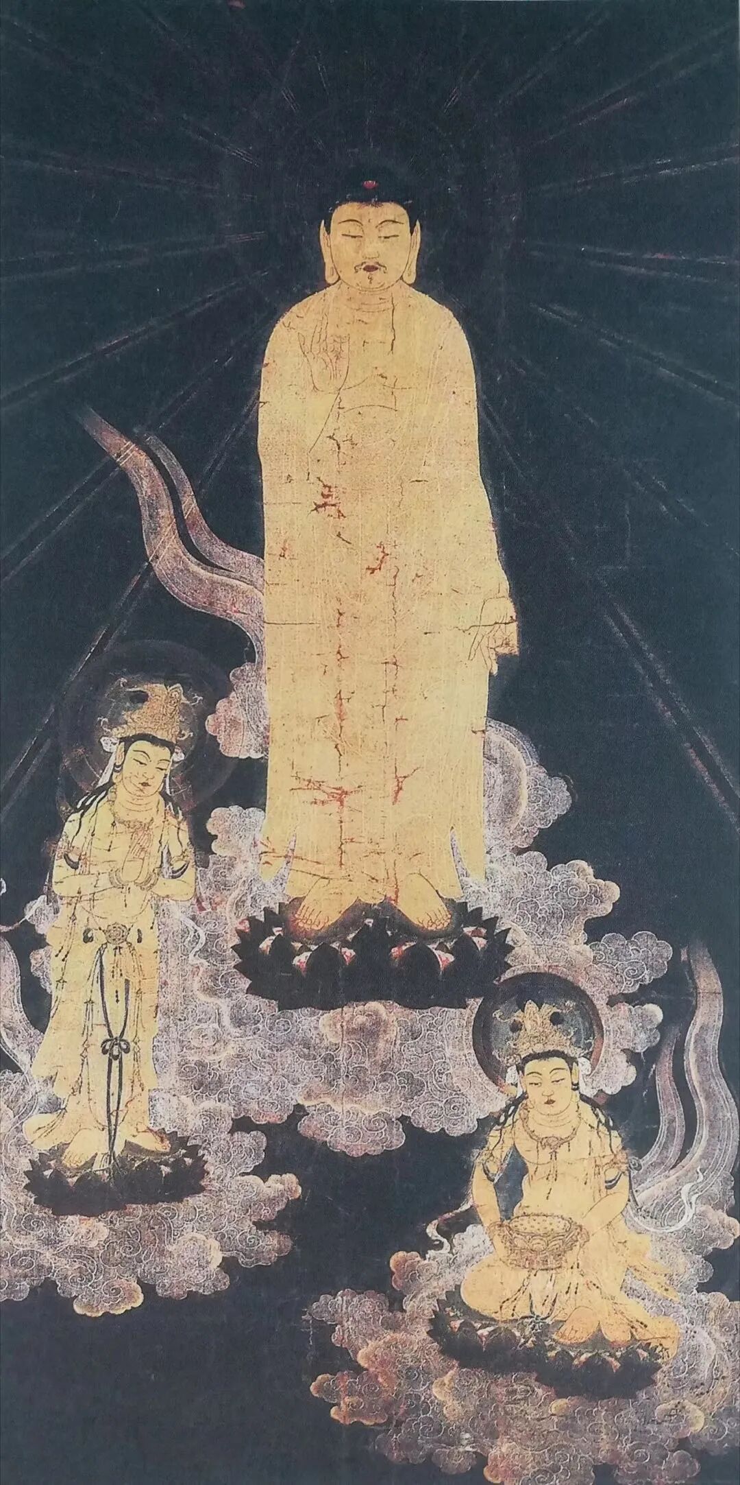cover_image