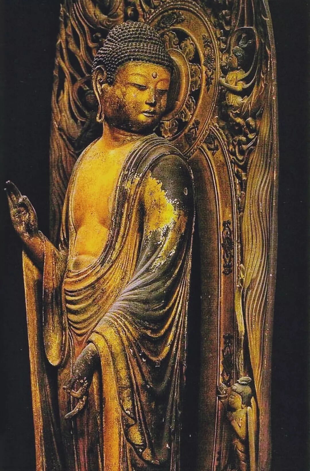 cover_image