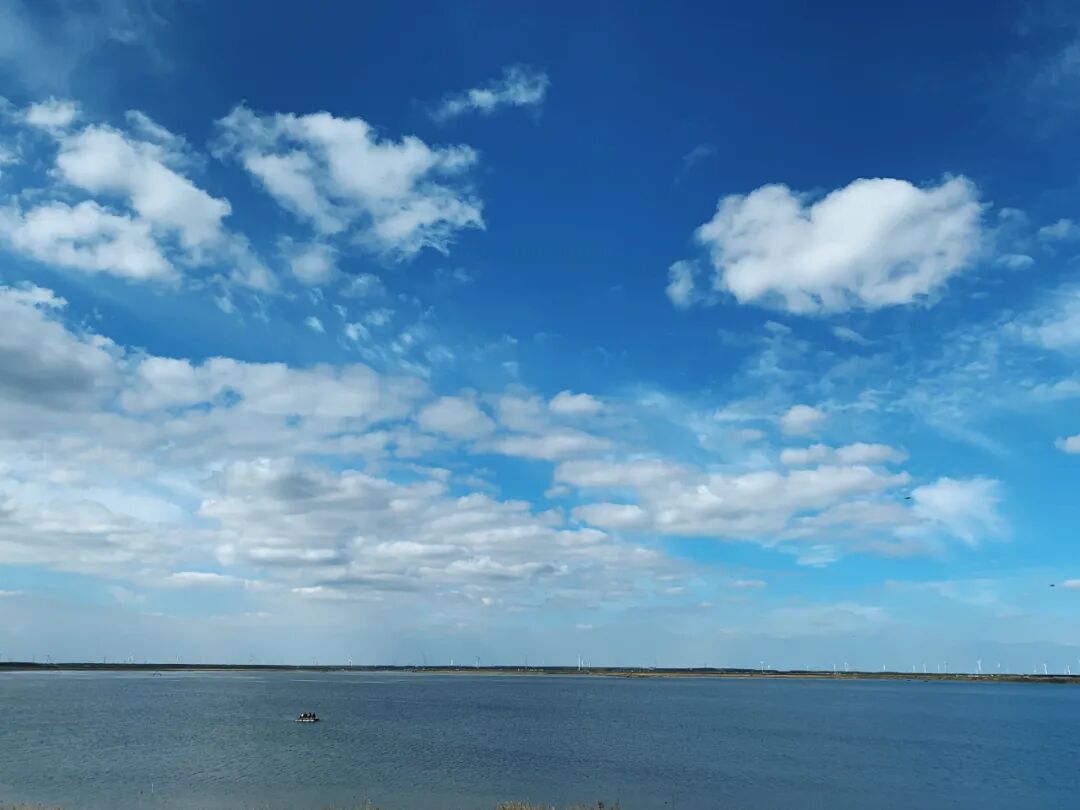 cover_image