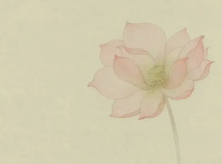 cover_image