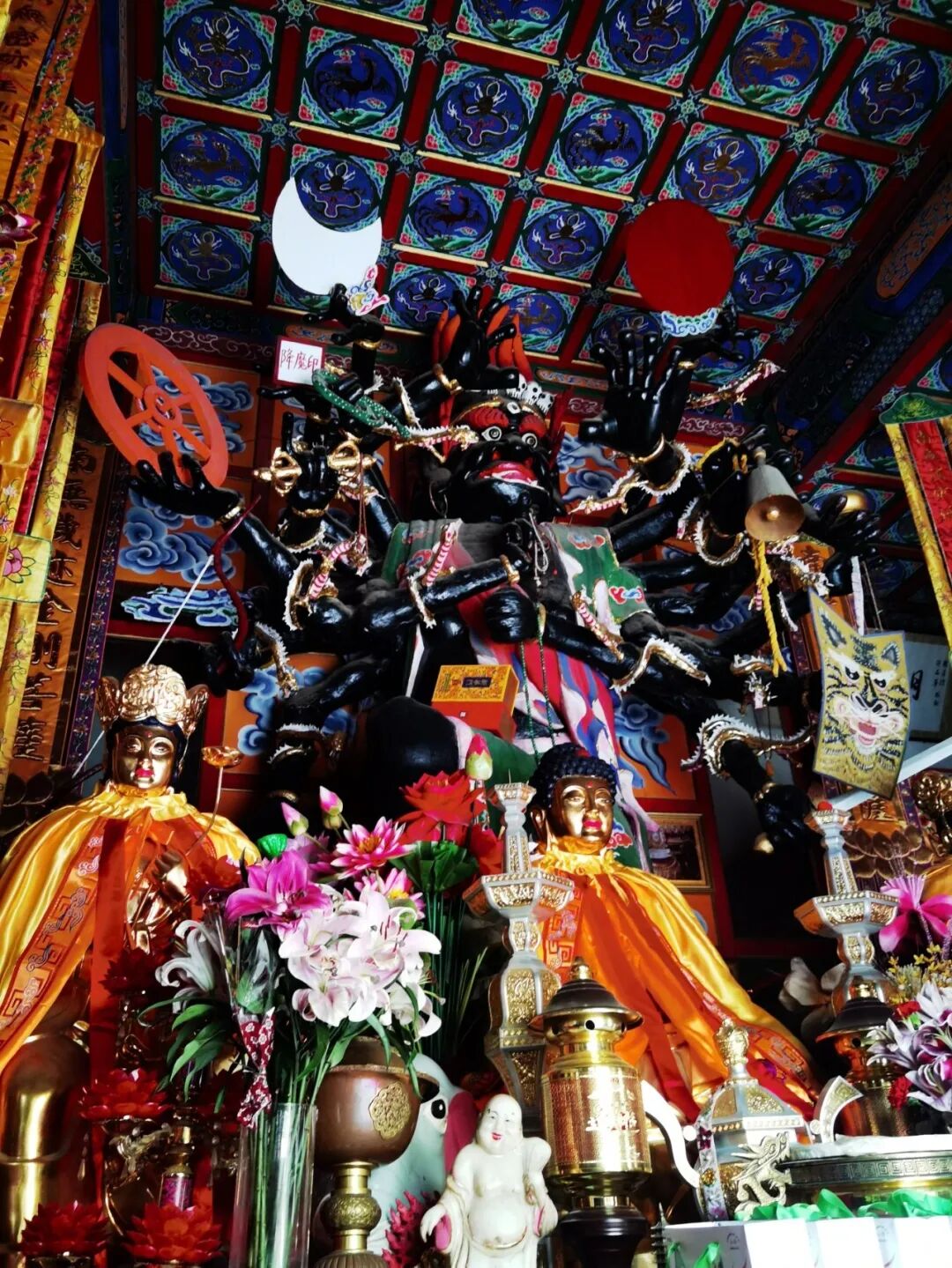 cover_image