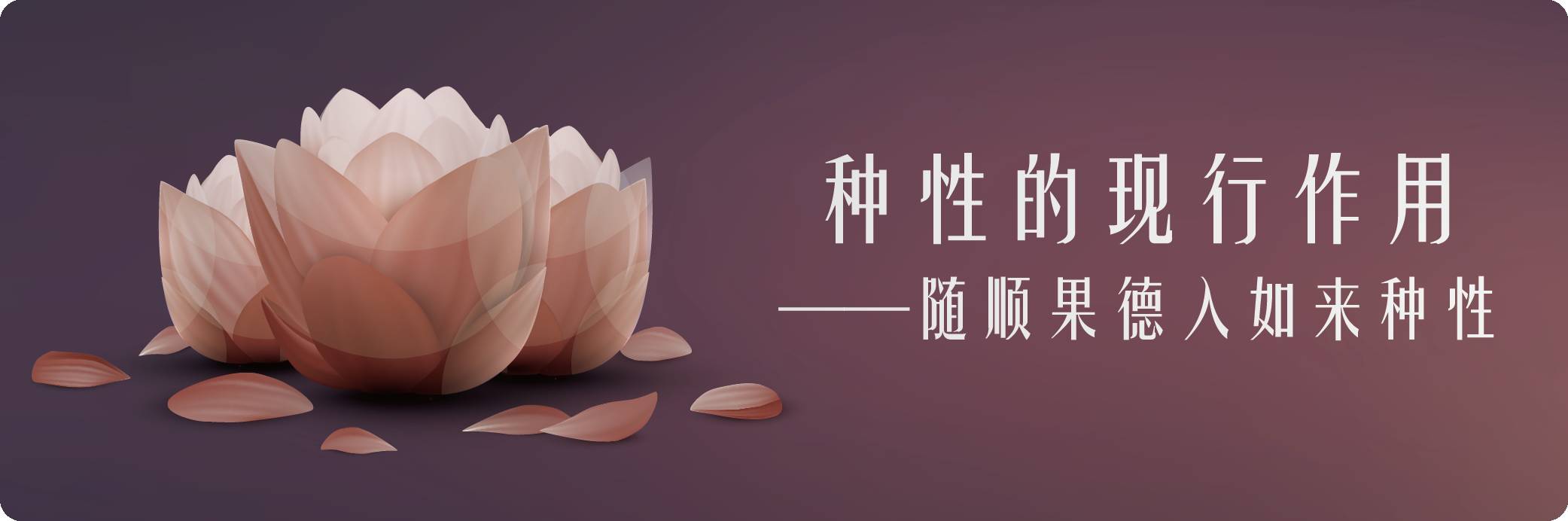 作者头像