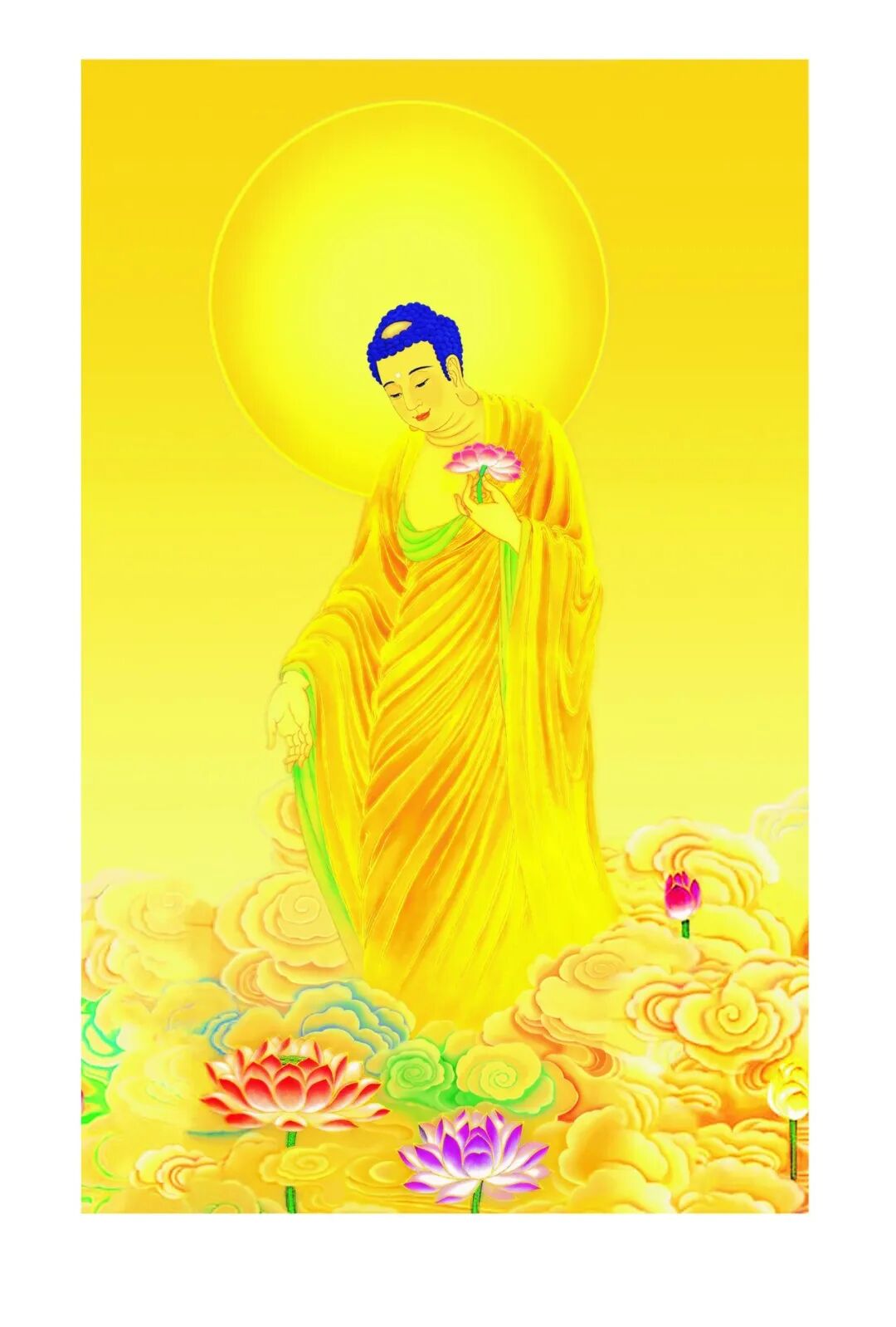 cover_image