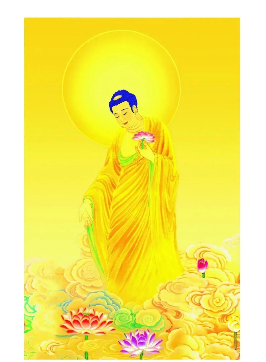 cover_image