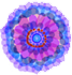 cover_image