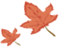 作者头像