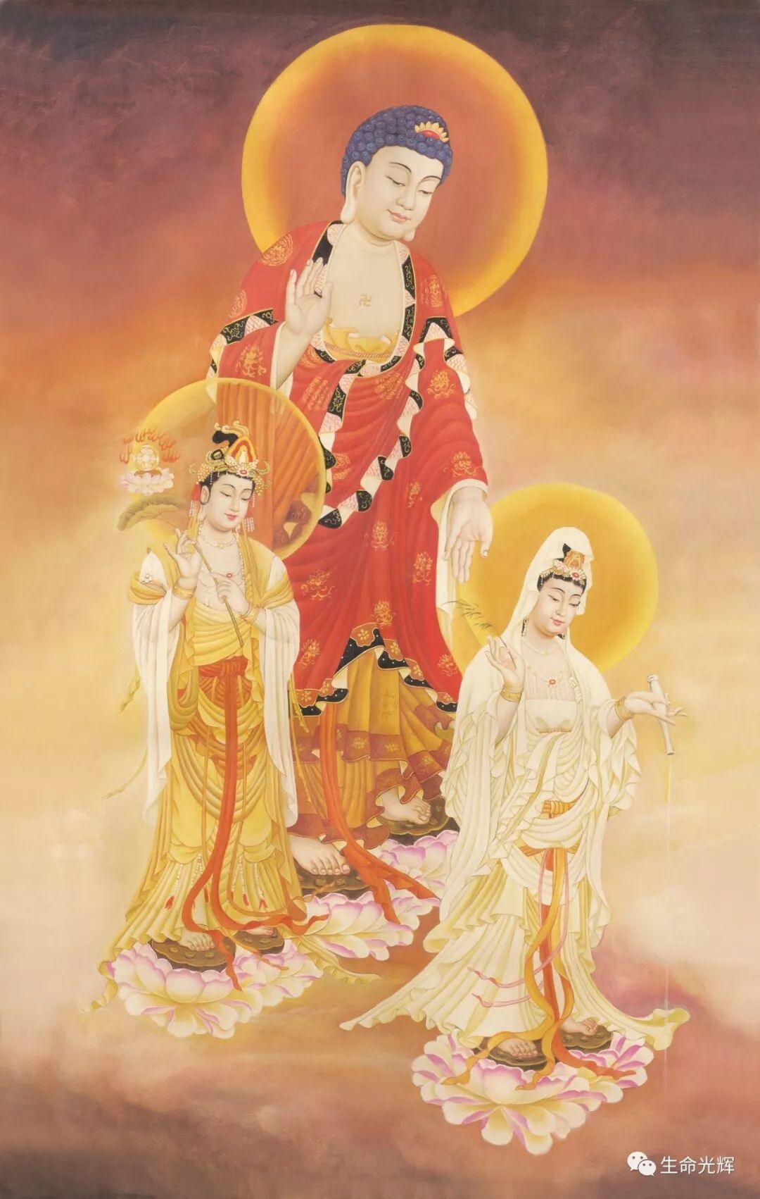 cover_image
