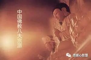 作者头像