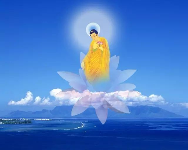 cover_image