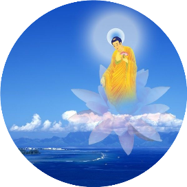 cover_image